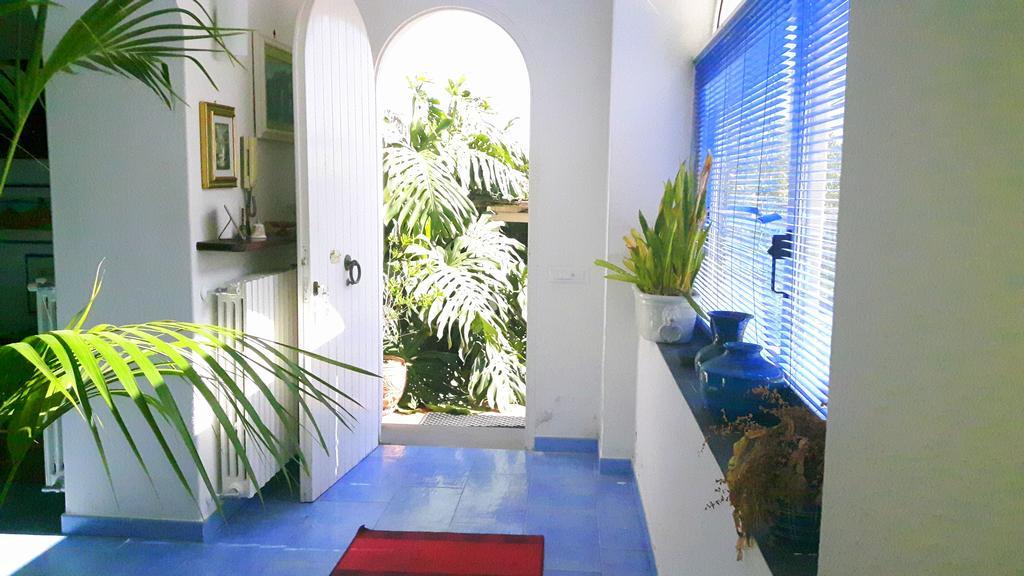 Holiday Apartments Lacco Ameno  ภายนอก รูปภาพ